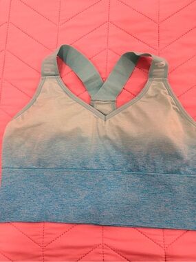 PINK Victoria's Secret Ombre Light Teal to Blue Sports Bra
